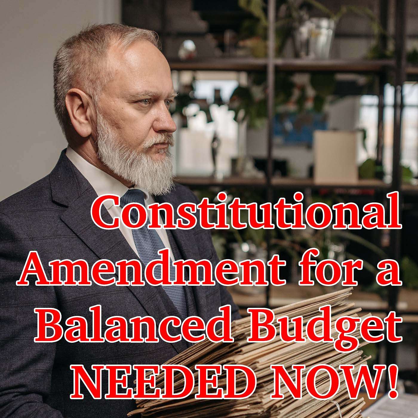 Constitutional Amendment for a Balanced Budget ~ NEEDED NOW!