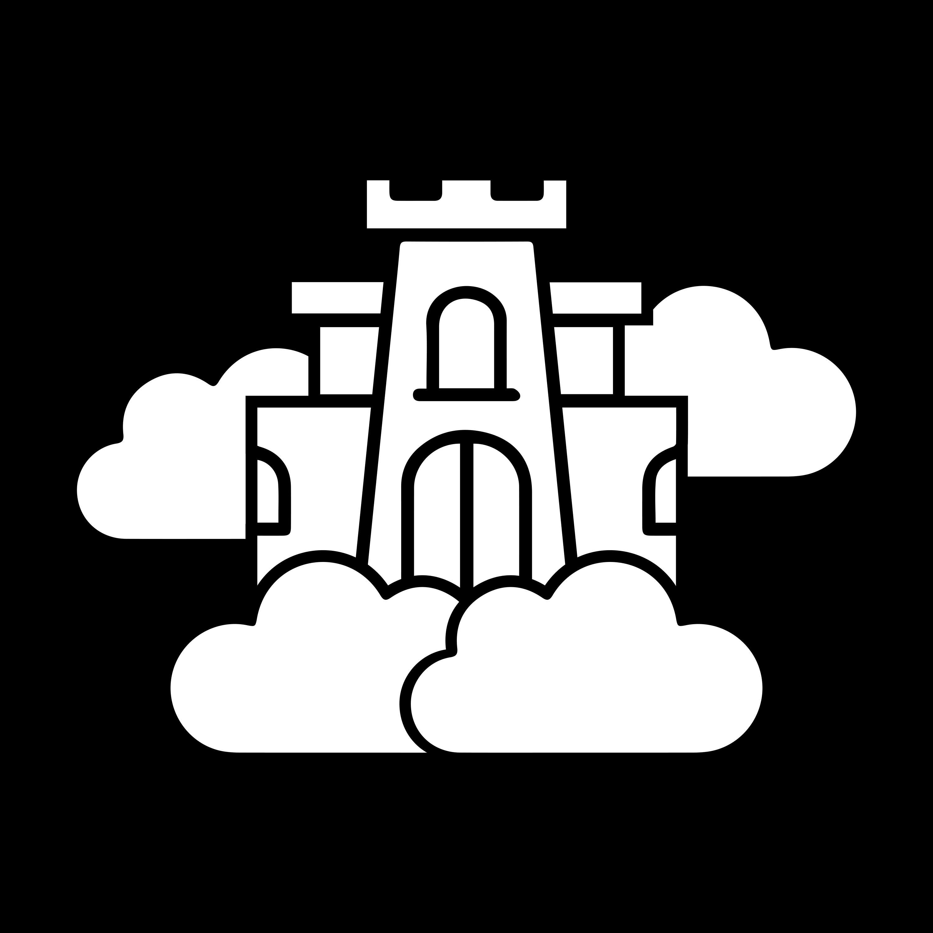 The Mind Palace