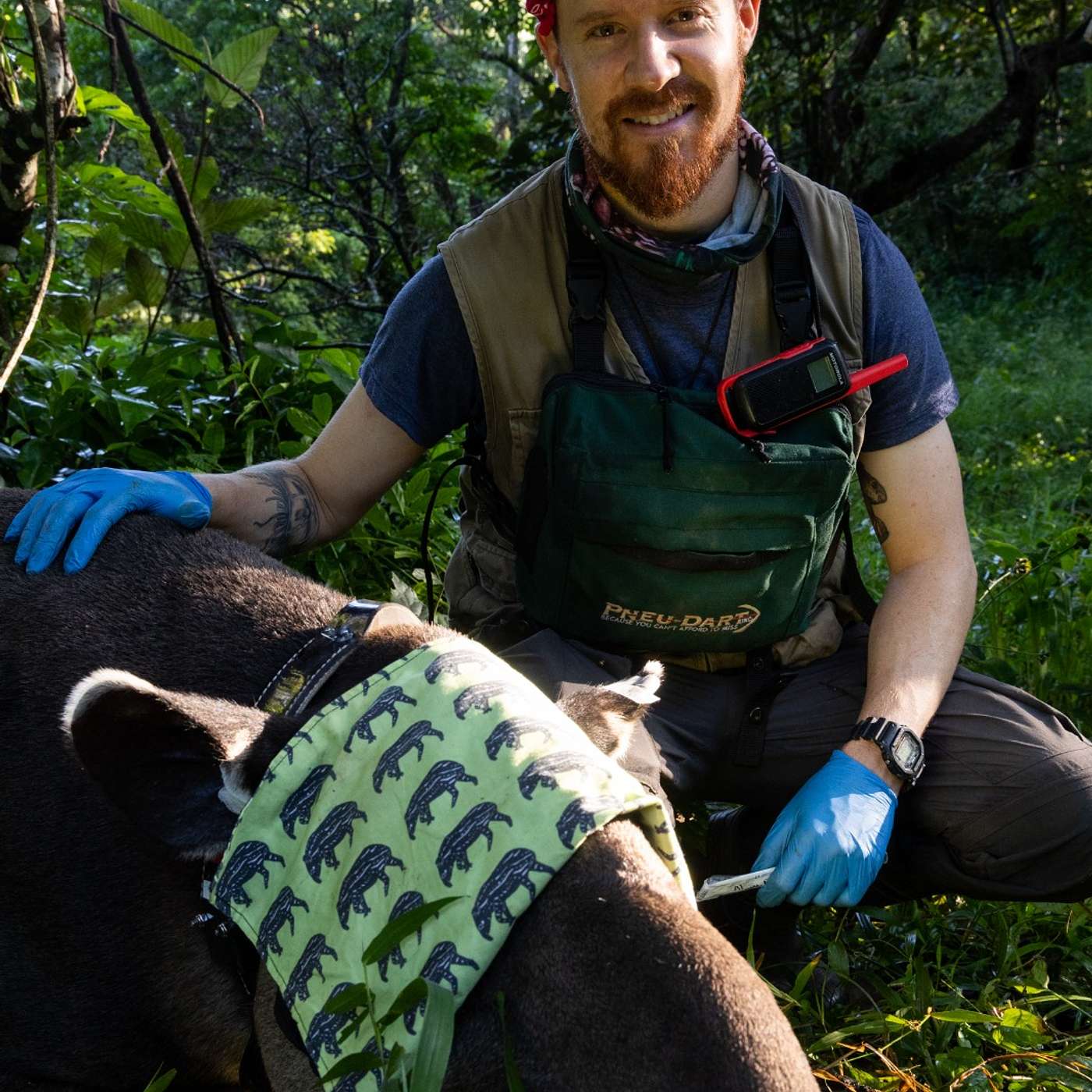 Wildlife Health Talks