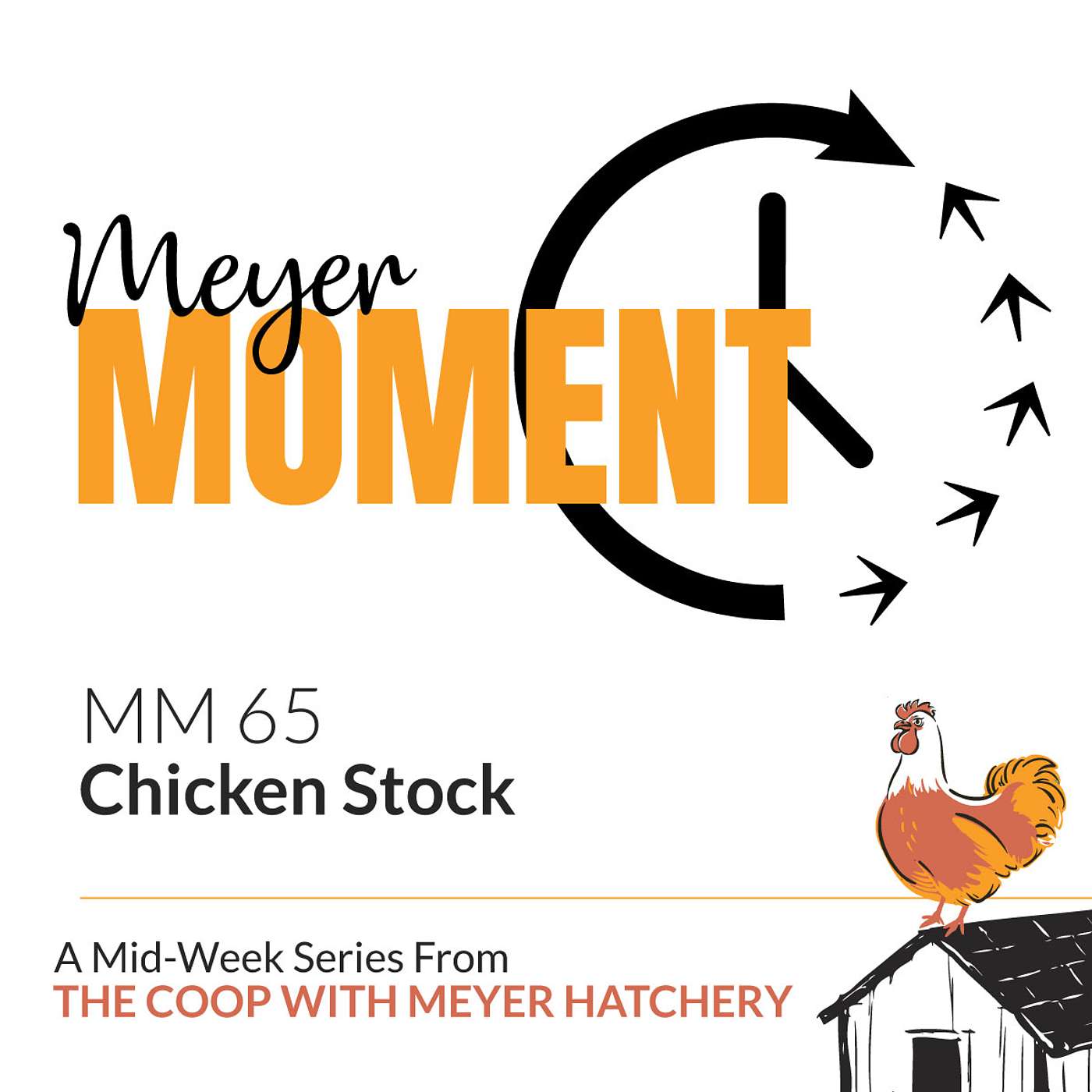 The Coop with Meyer Hatchery - Meyer Moment: Chicken Stock