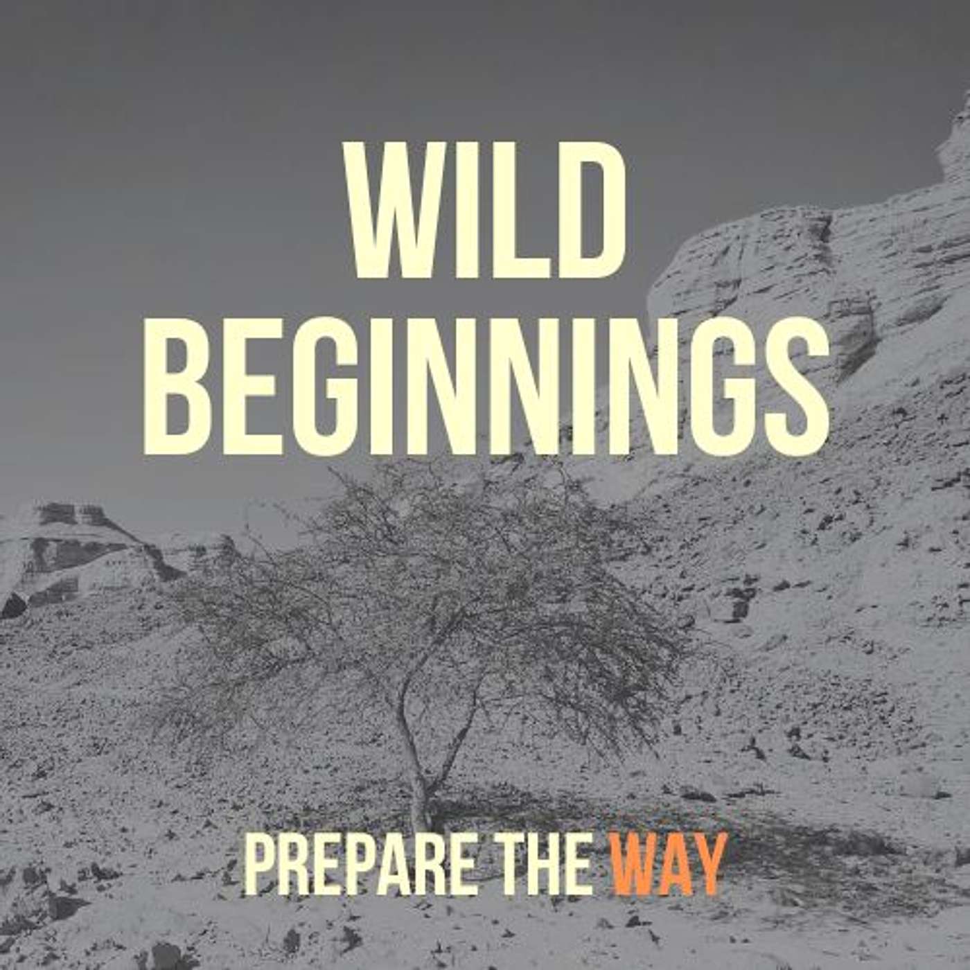 Wild Beginnings: Moses episode artwork