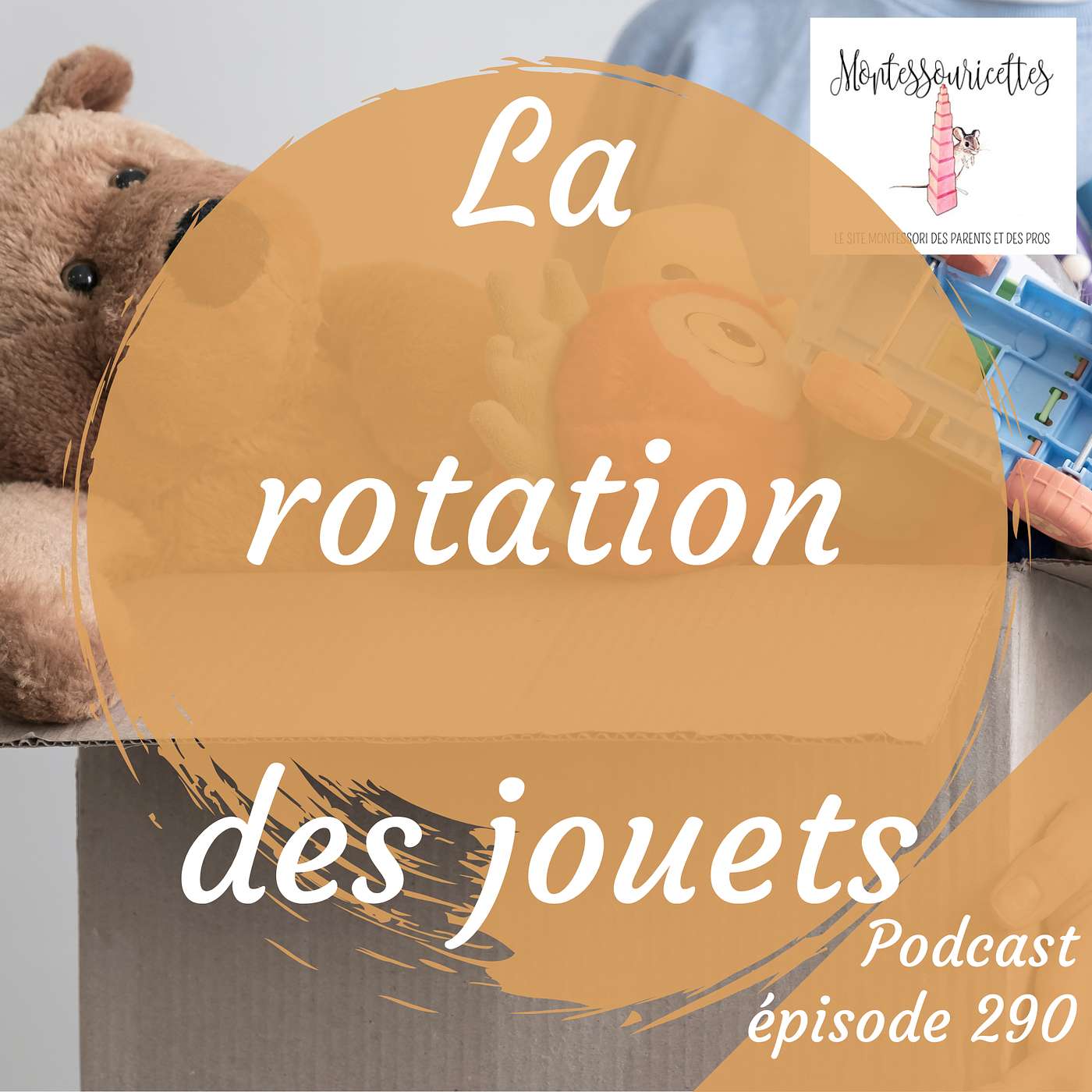 290. La rotation des jouets façon Montessori (Redif)