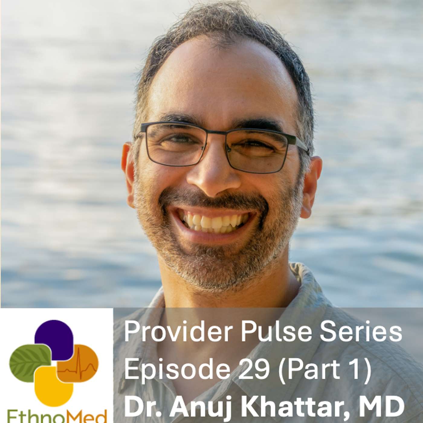 The EthnoMed Podcast