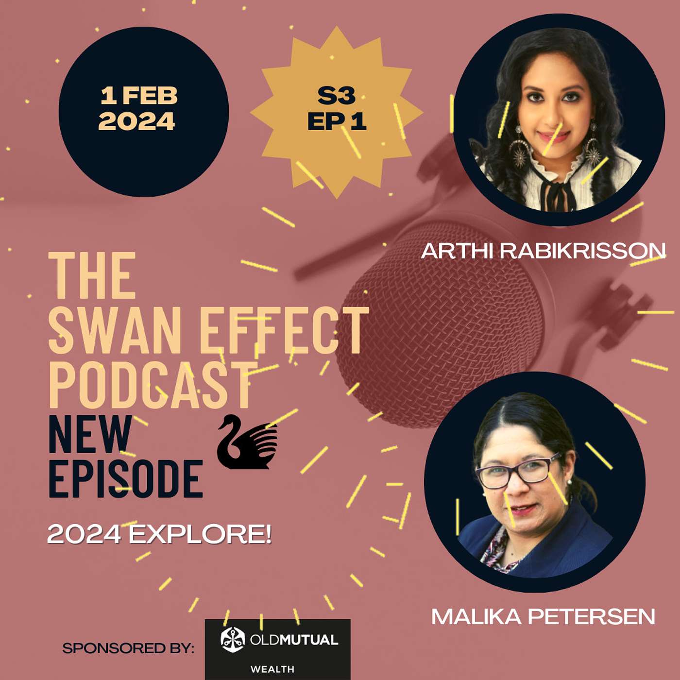 The Swan Effect - Creating and Sustaining Your Financial Wellbeing