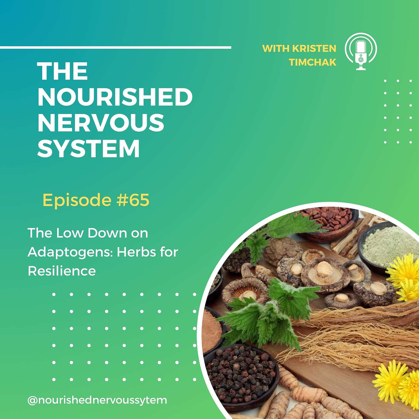 The Nourished Nervous System