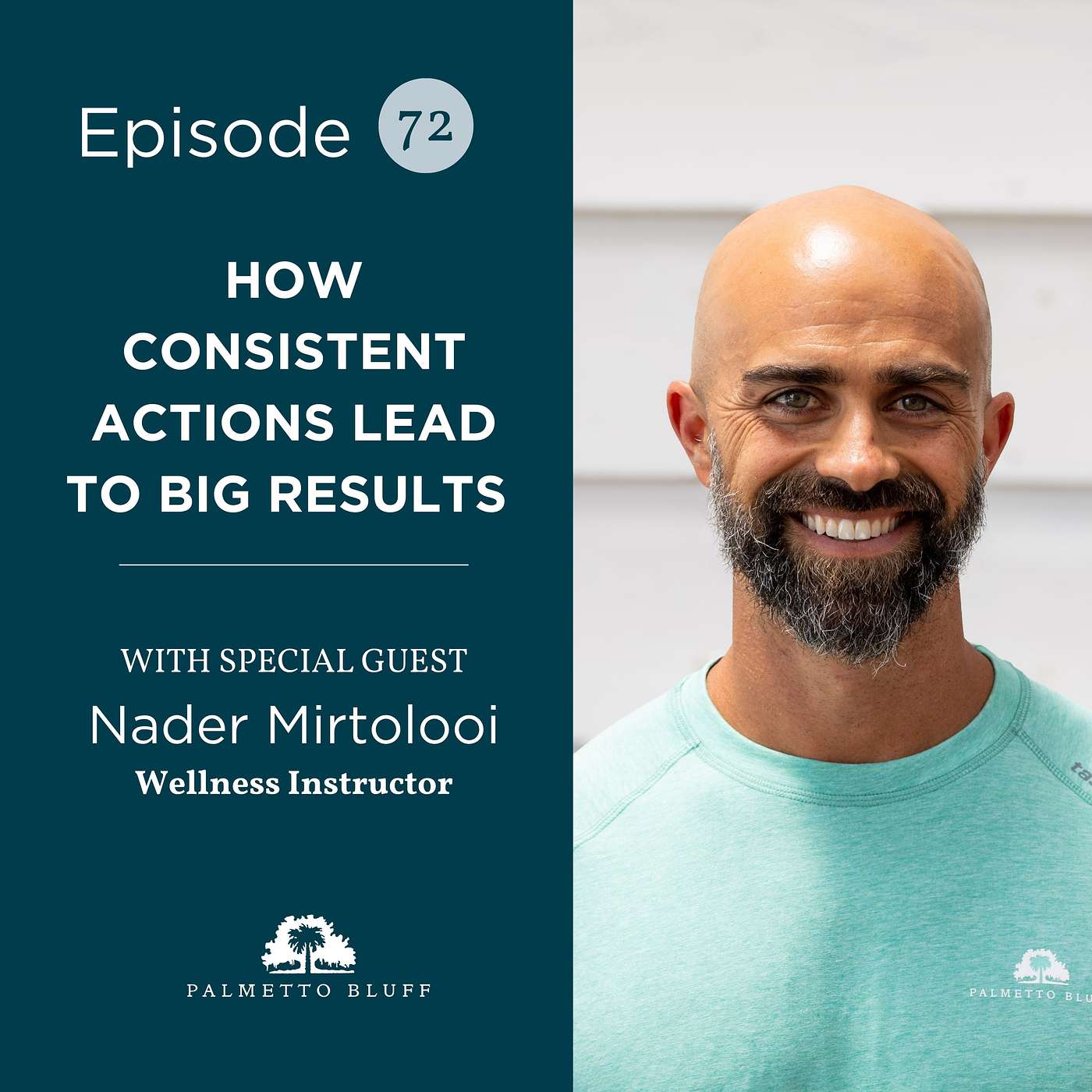 How Consistent Actions Lead to Big Results | Nader Mirtolooi How Consistent Actions Lead to Big Results | Nader Mirtolooi