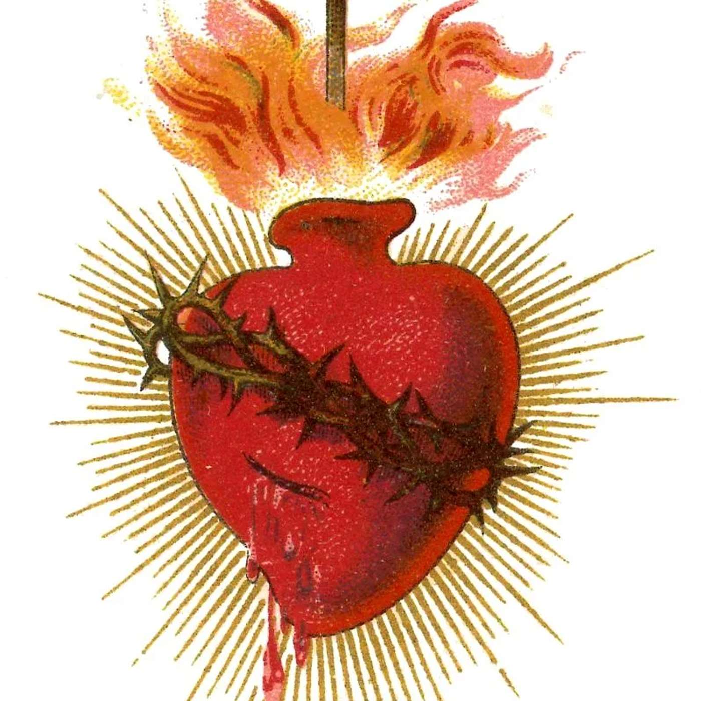 Episodio 975: 🔥 EL ANTICRISTO Perseguirá La DEVOCIÓN Al Sagrado Corazón ❤️ APOSTASIA Profecias /En Vivo Luis Román