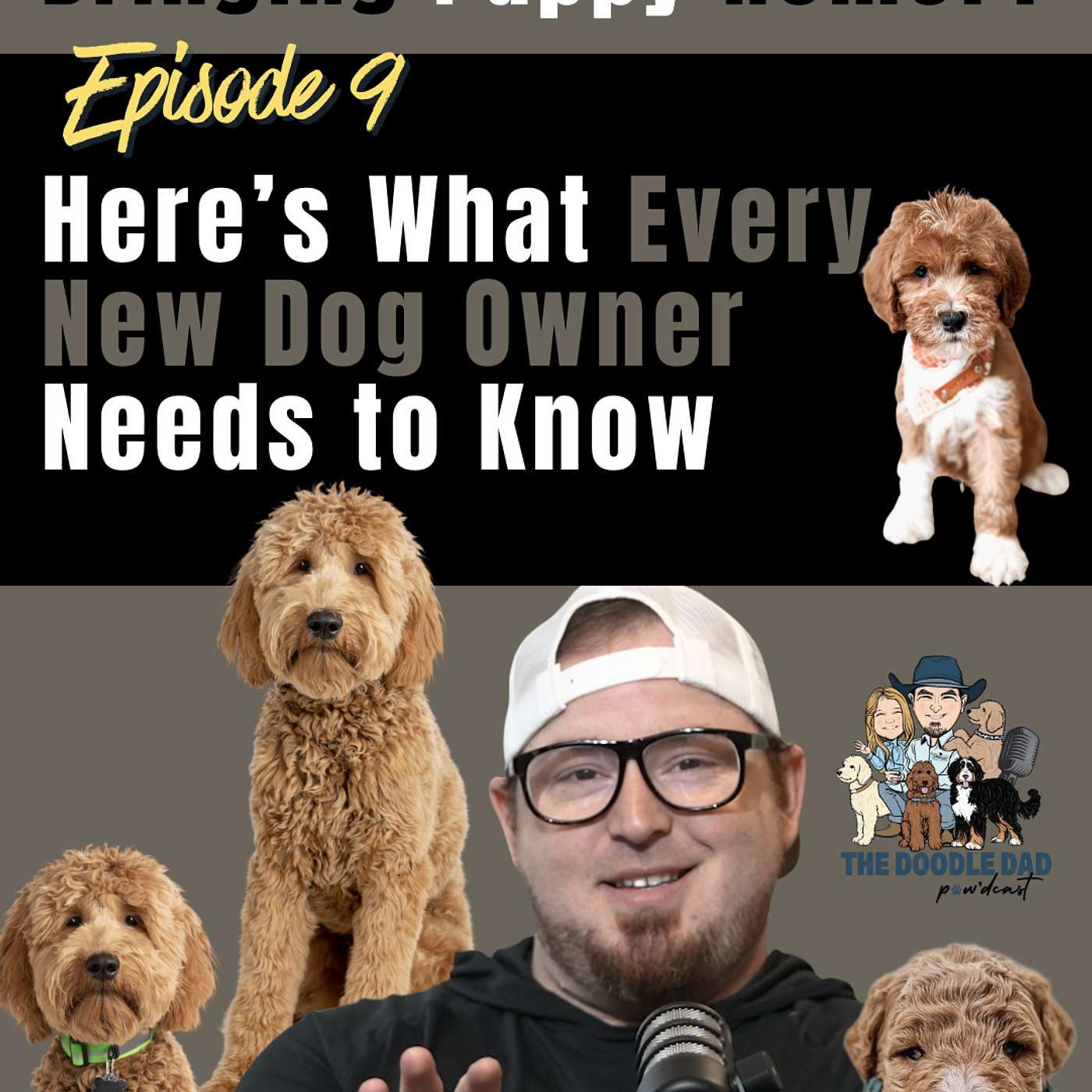 Episode 9: Bringing Puppy Home? Here’s What Every New Dog Owner Needs to Know episode artwork