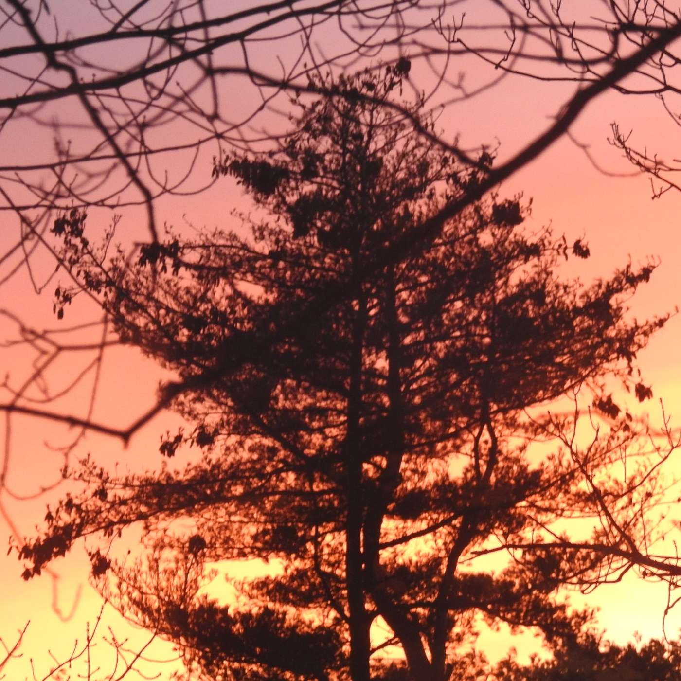 STANDING OUT AGAINST THE SKY