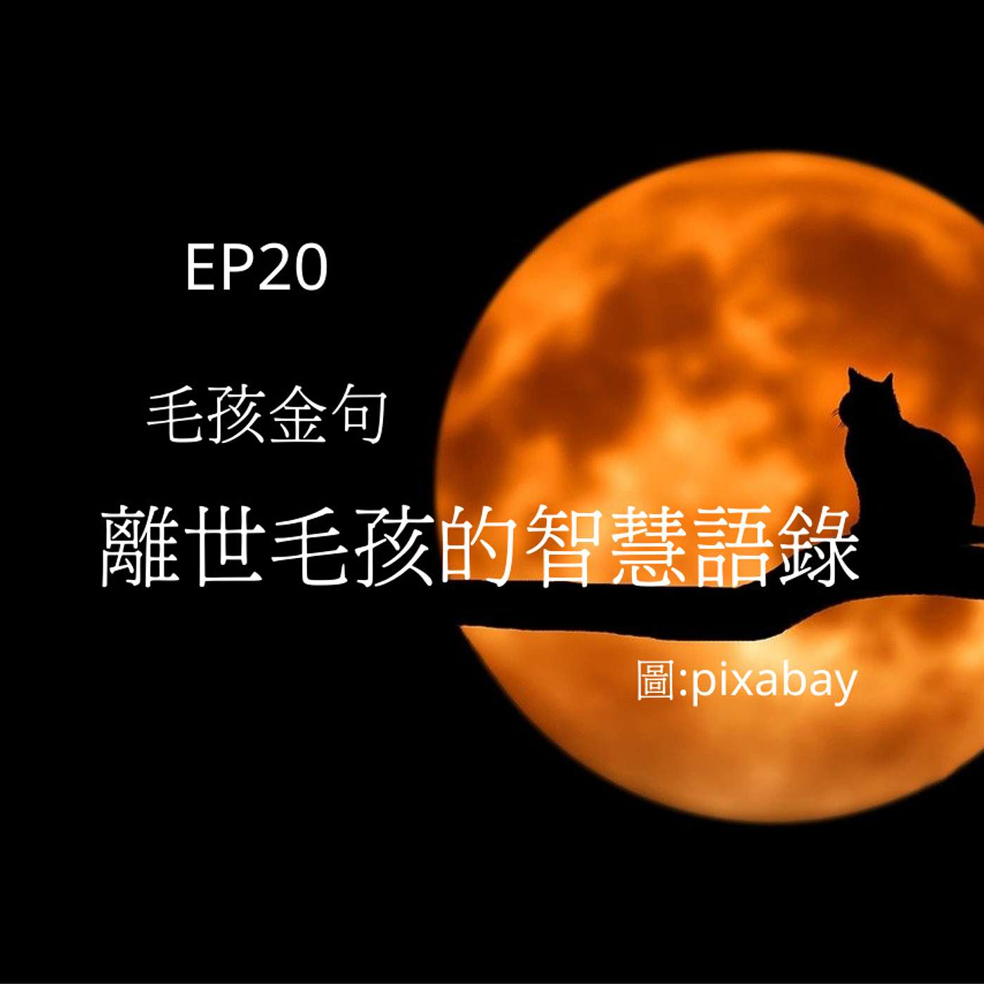 從0到1媒體人X斜槓EP20 毛孩金句，離世毛孩智慧語錄4.0 episode artwork
