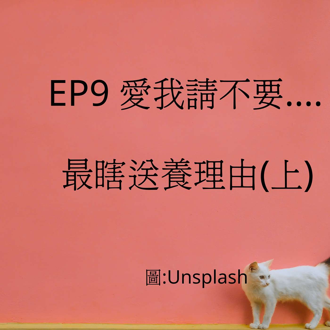 從0到1媒體人X斜槓 EP9 主銀，愛我請不要這樣:最瞎送養理由(上) episode artwork