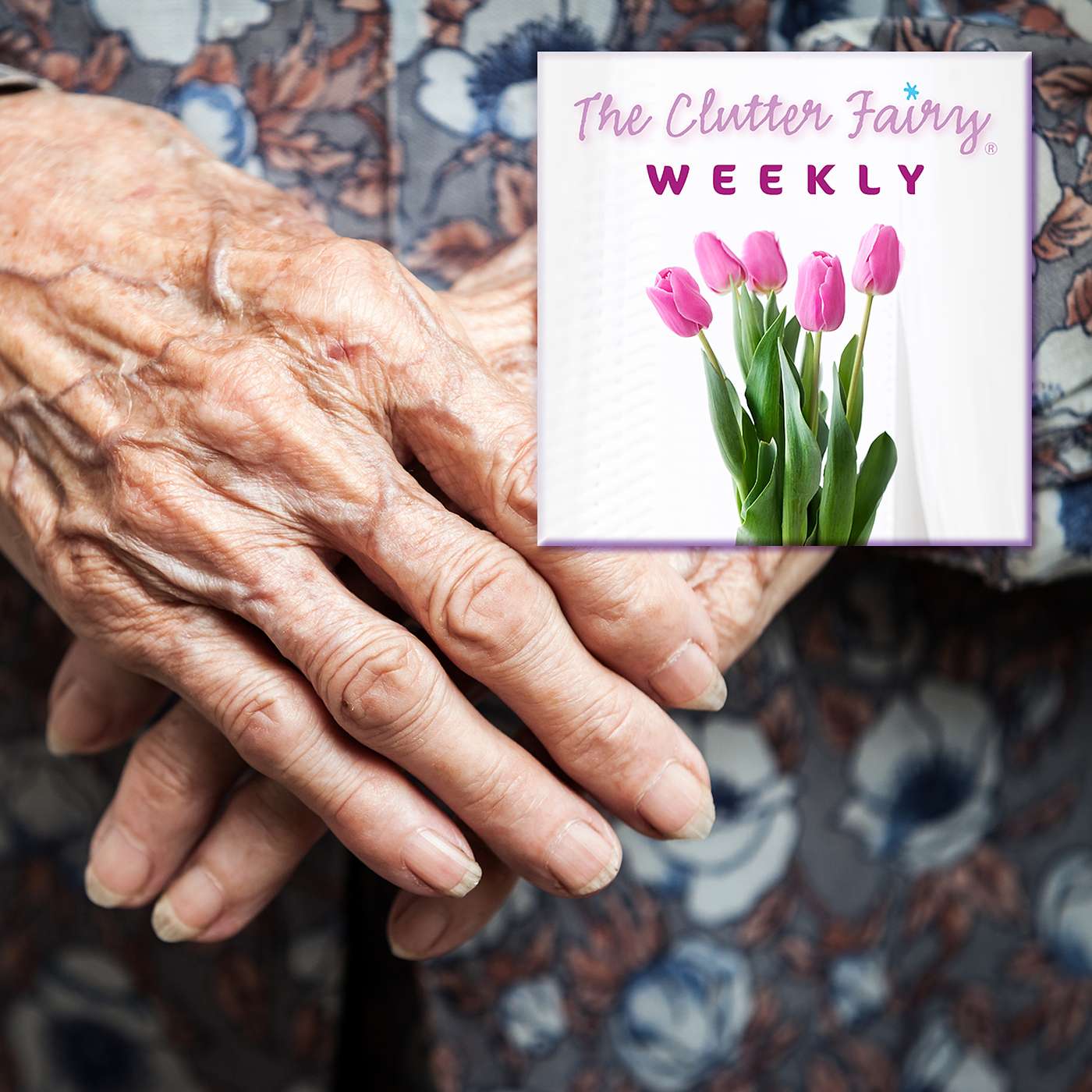 The Clutter Fairy Weekly