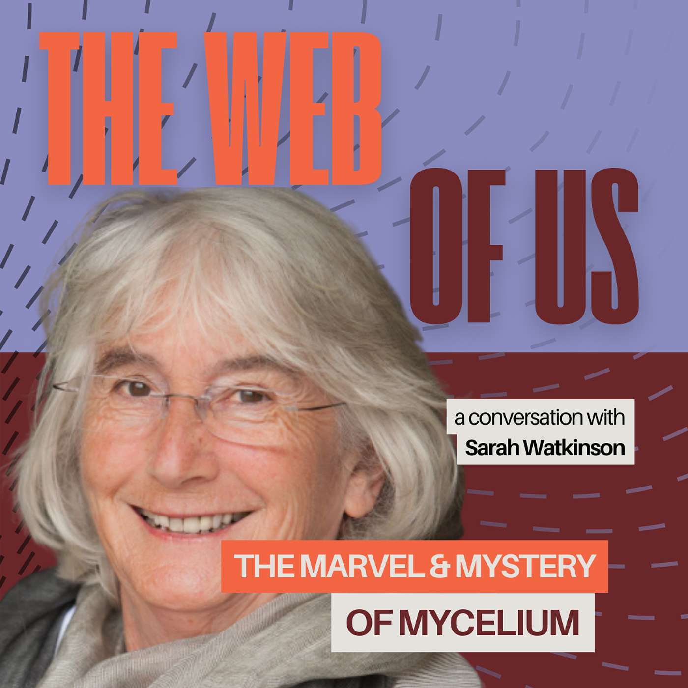 The Web of Us