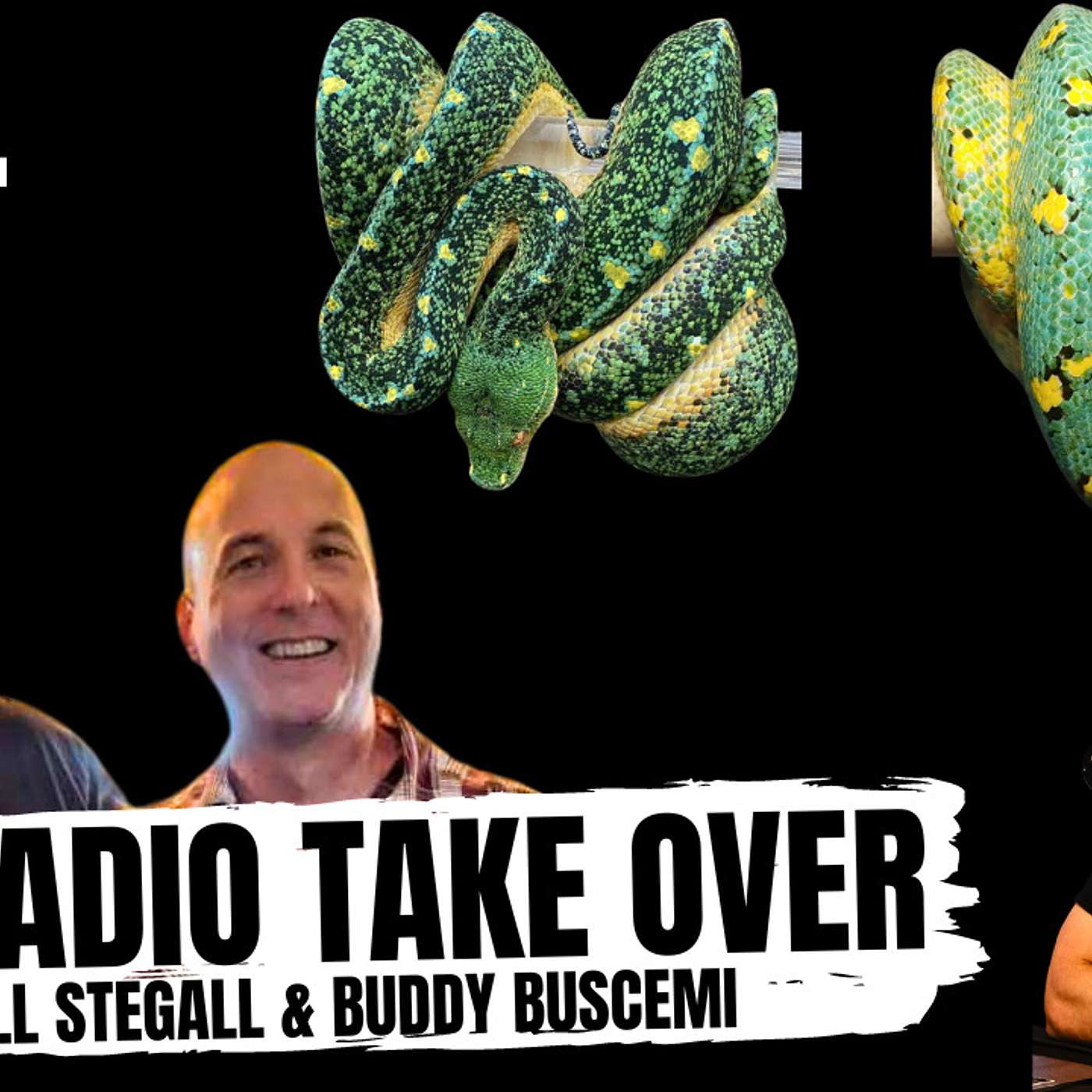 Bill Stegall & Buddy Buscemi go over their favorite GTP Radio episodes & what the future holds
