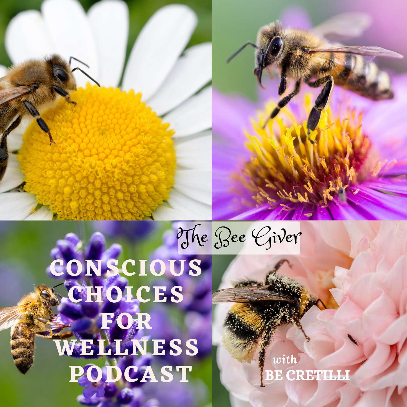The Bee Giver episode artwork