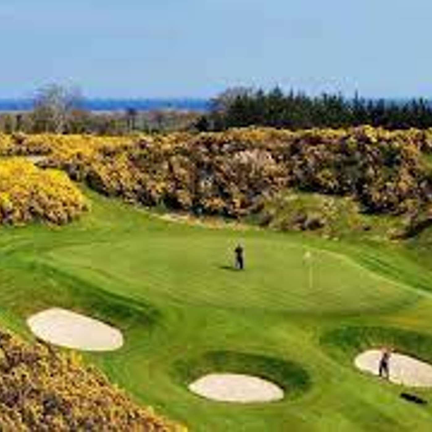 Business tales of a modern day golf professional