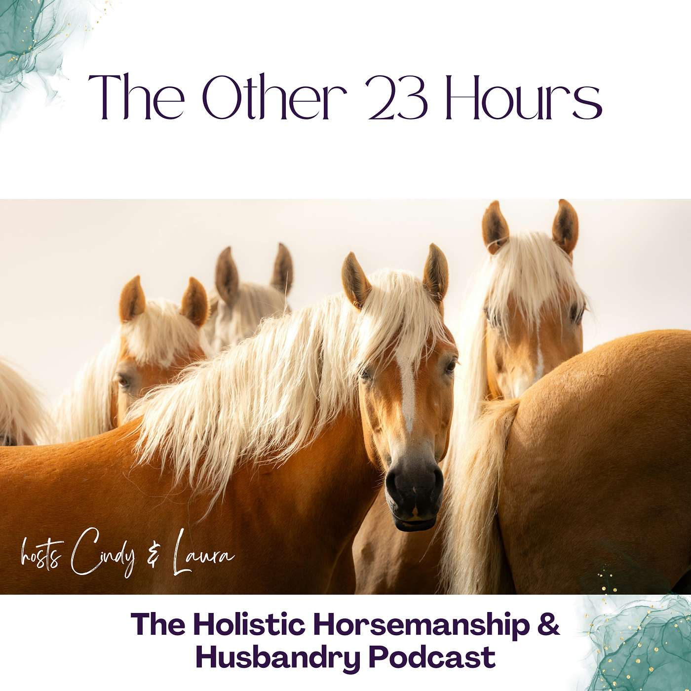 Your Horse's Life - What Do the Other 23 Hours Look Like? Your Horse's Life - What Do the Other 23 Hours Look Like?
