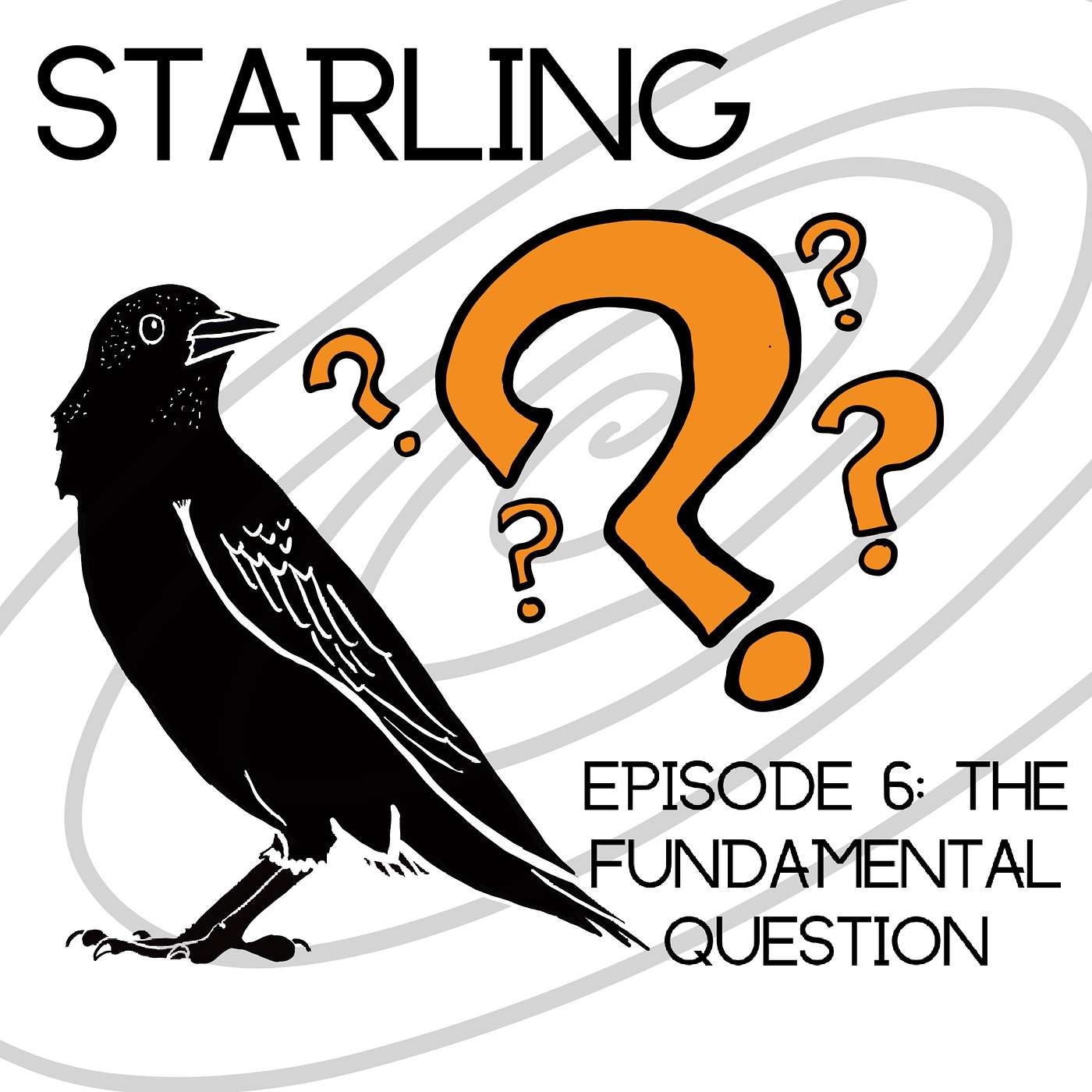 The Fundamental Question
