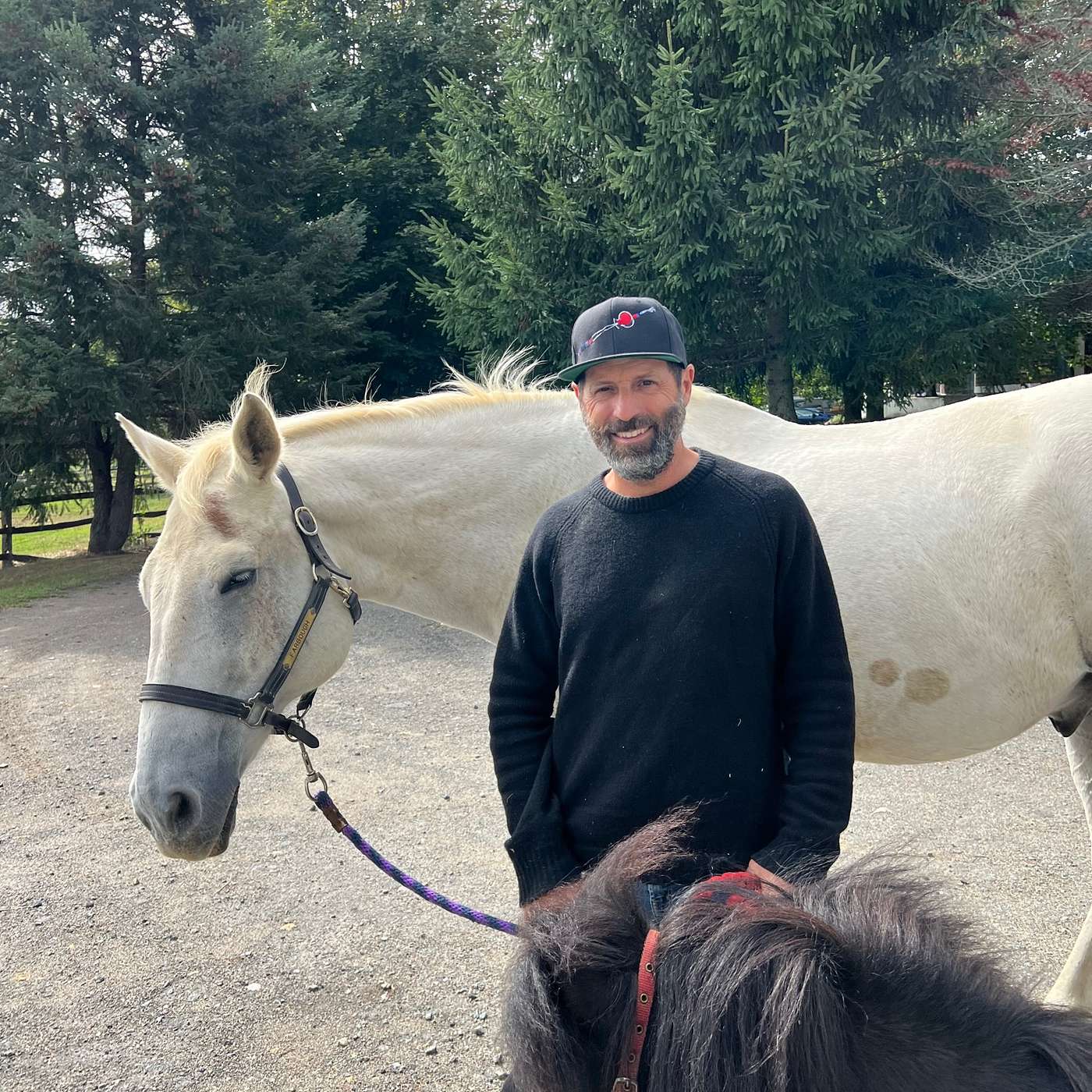 Reinforce the Horse