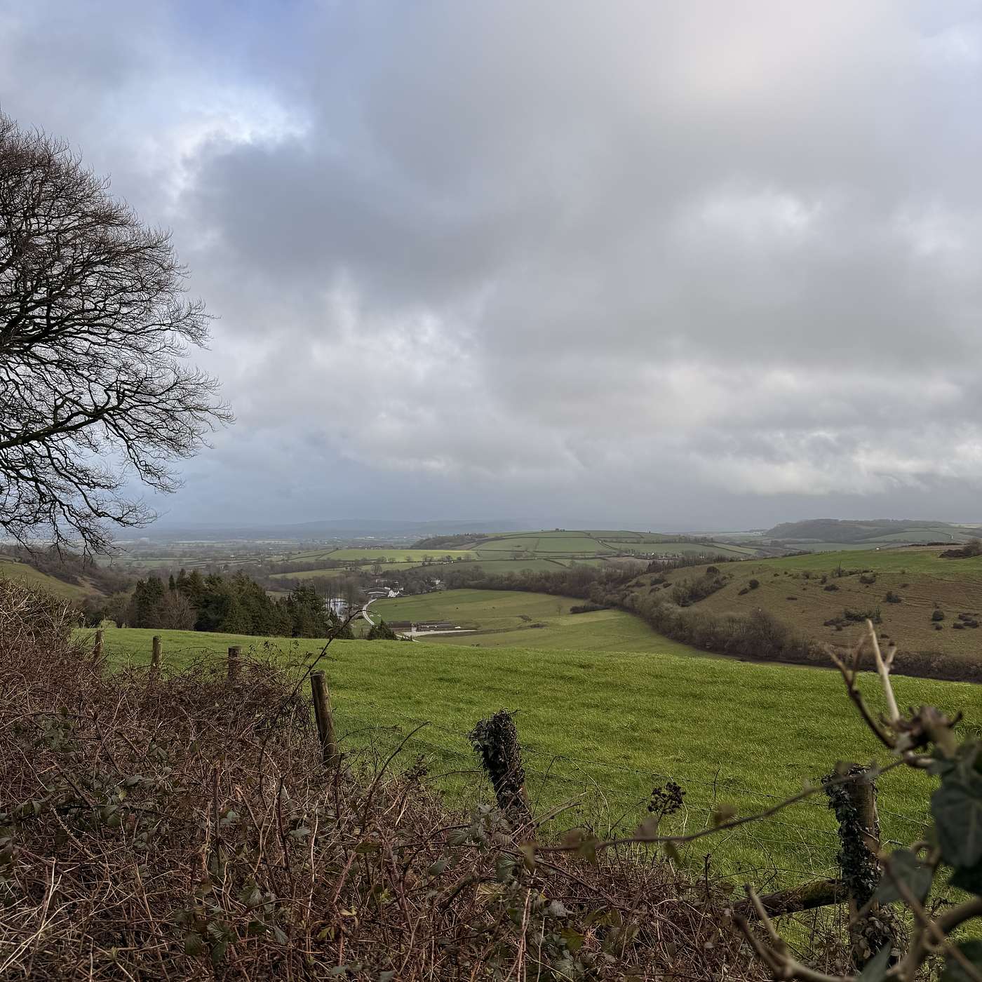 Barnaby Rudge Ch XXIX; Beautiful words on the Venerable Bede; and Barchester Botherings