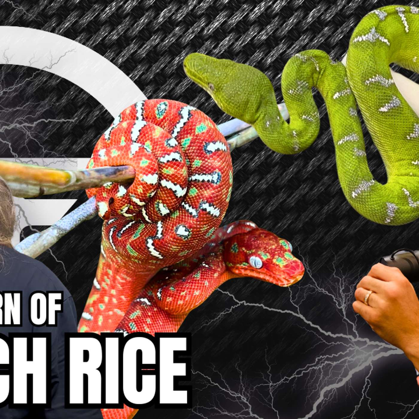 What We Still Don't Know About Emerald Tree Boas... | Trap Talk With MJ Ep.826