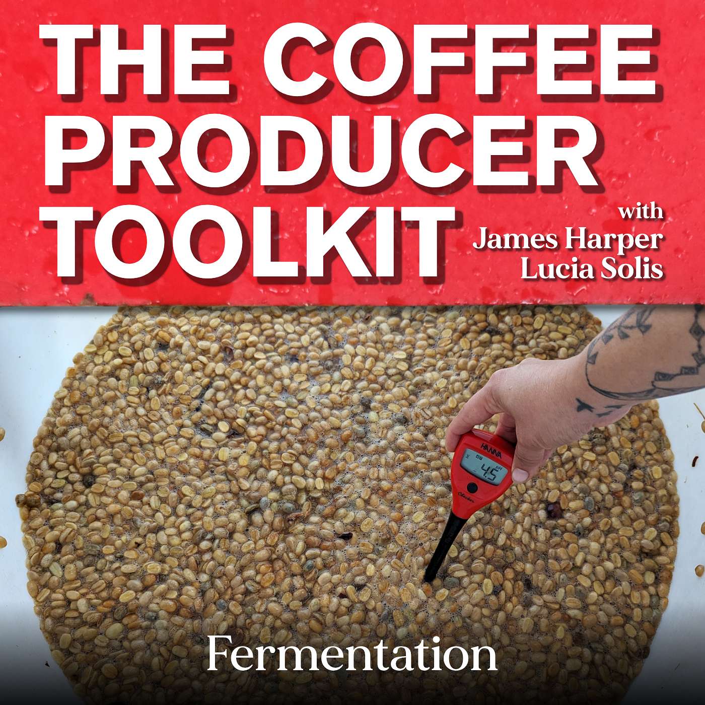 The Coffee Producer Toolkit #3: Fermentation