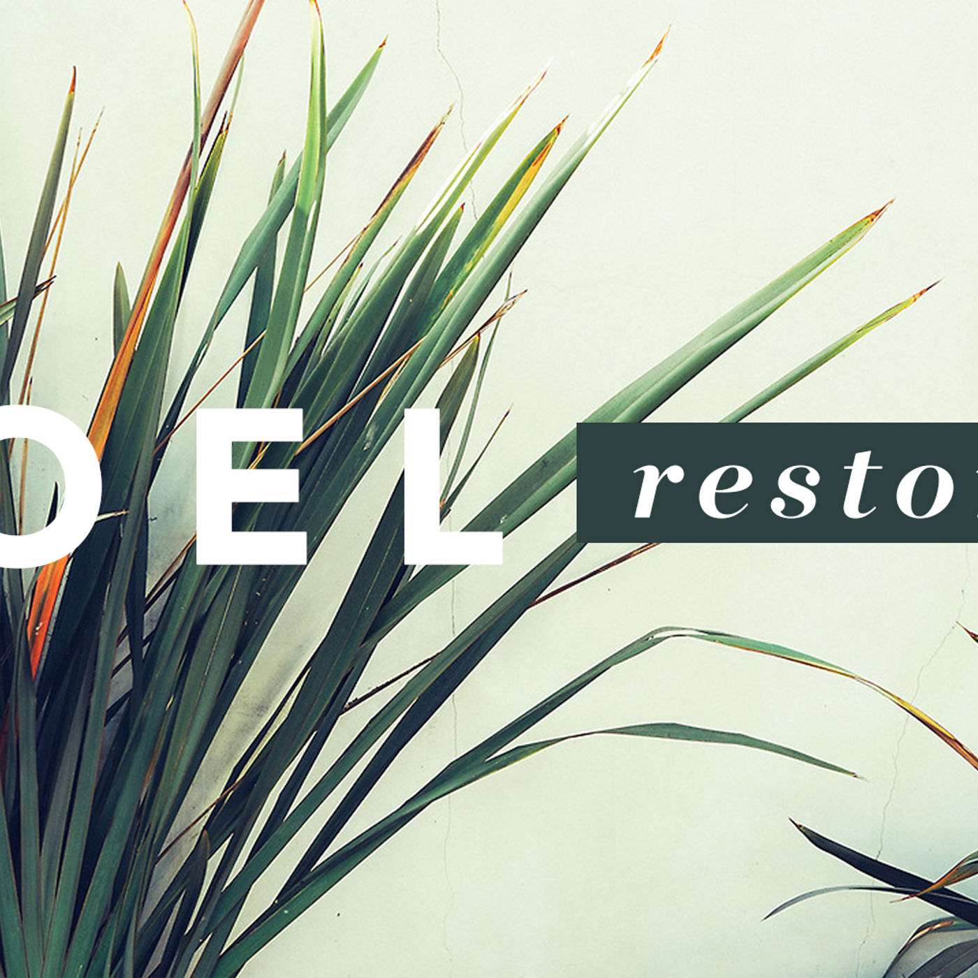 Joel:  Restored episode artwork