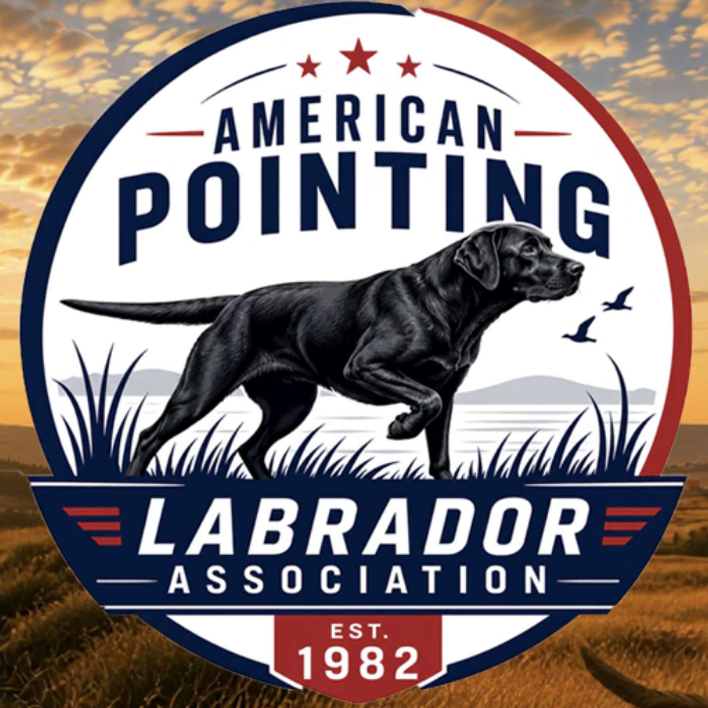 (Ep. 55) Troy Benson & The American Pointing Lab Association. Is the pointing lab the most versatile dog on the planet? episode artwork