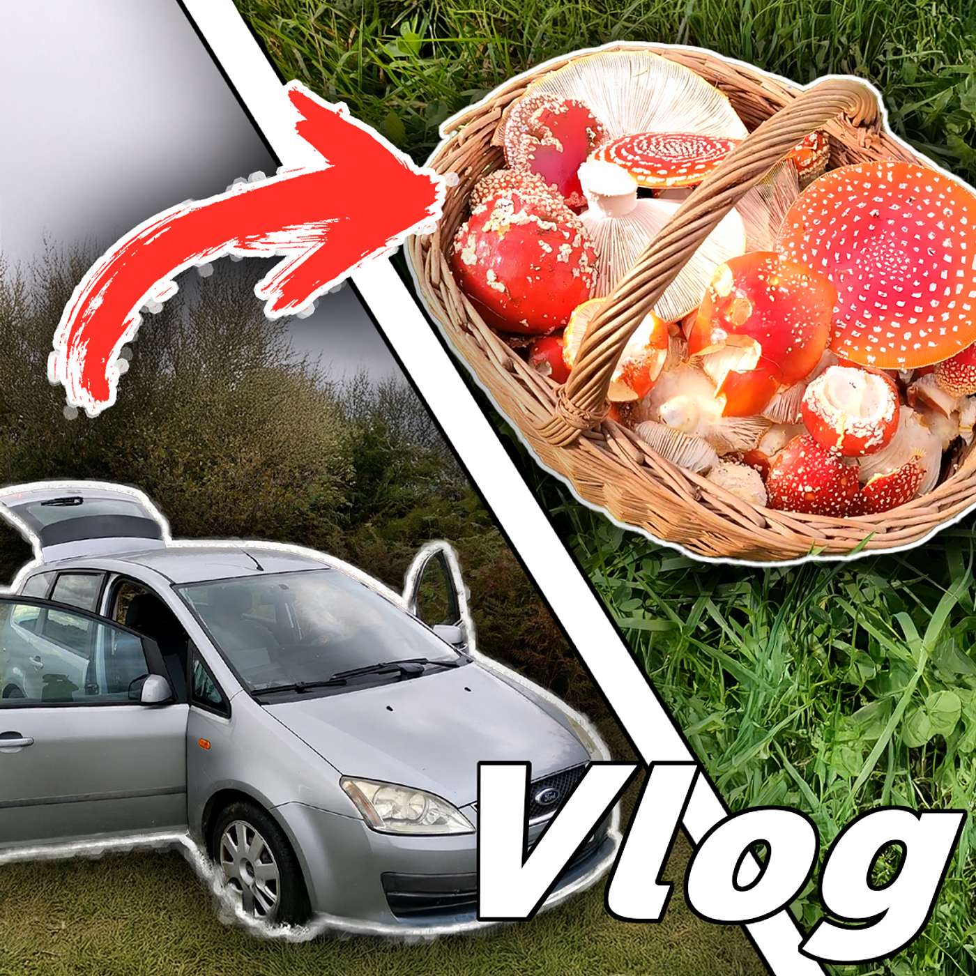 Hippiesáci houbaří 🍄 Hippiesáci houbaří 🍄