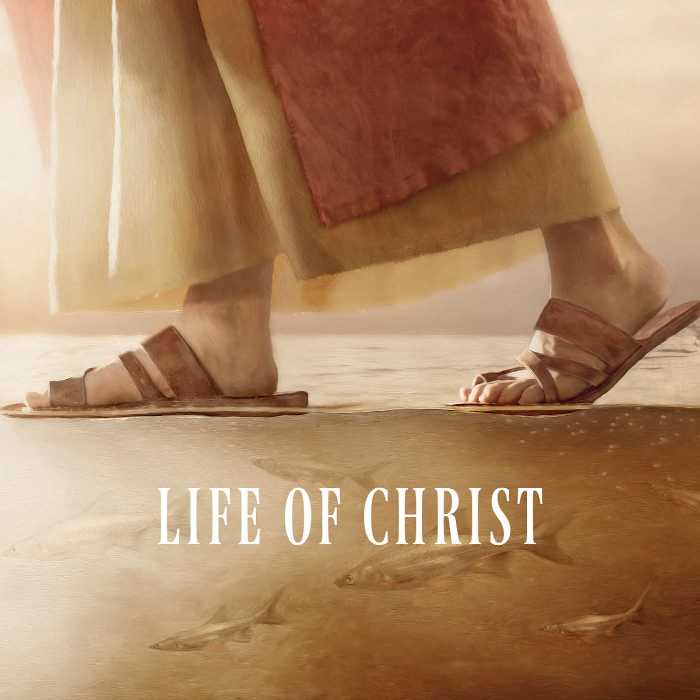Is There Any Absolute Truth? - Life of Christ Part 98 episode artwork