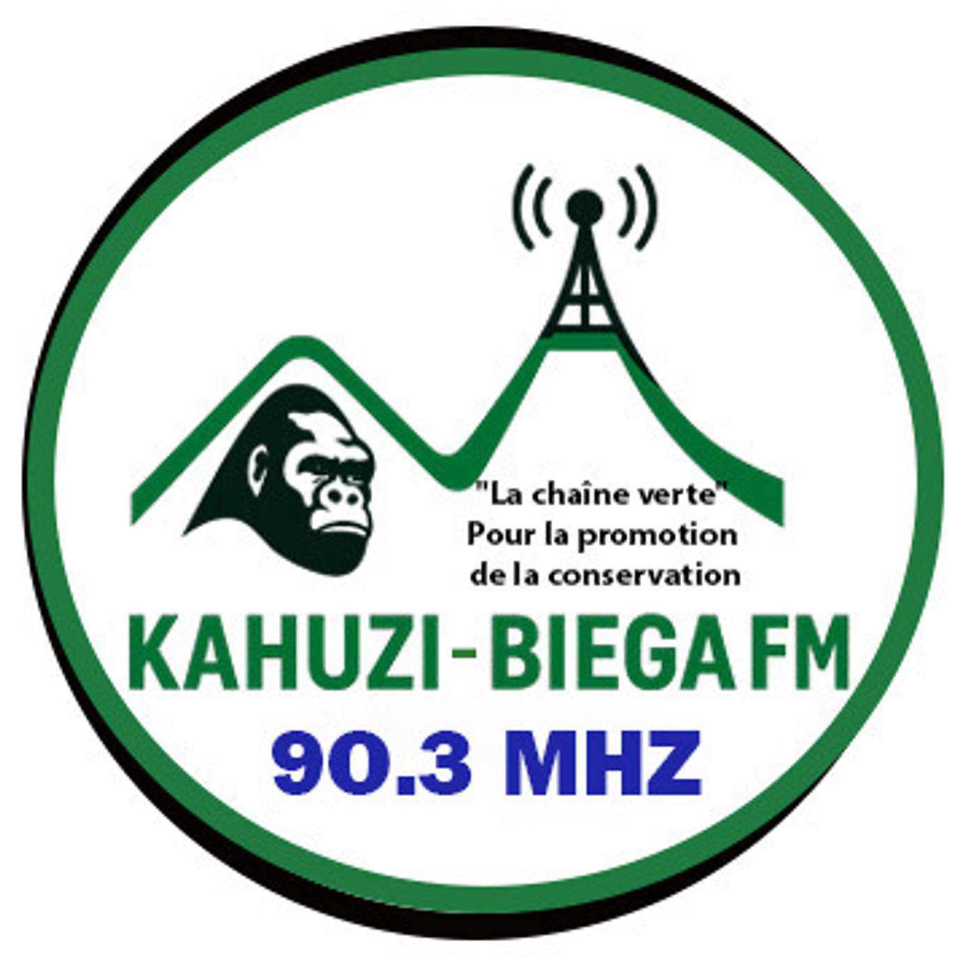 KAHUZI BIEGA FM's Podcast cover art