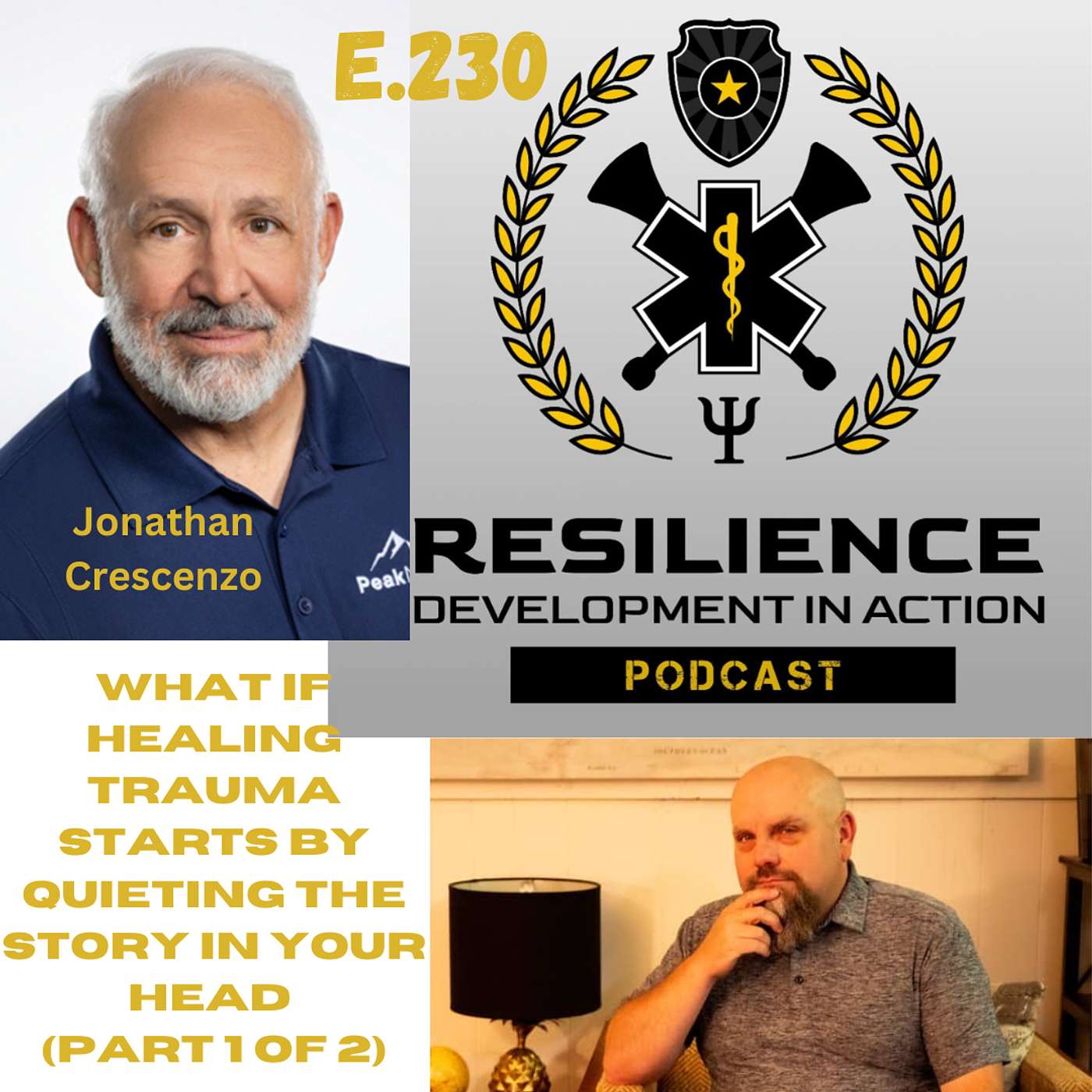 Resilience Development in Action