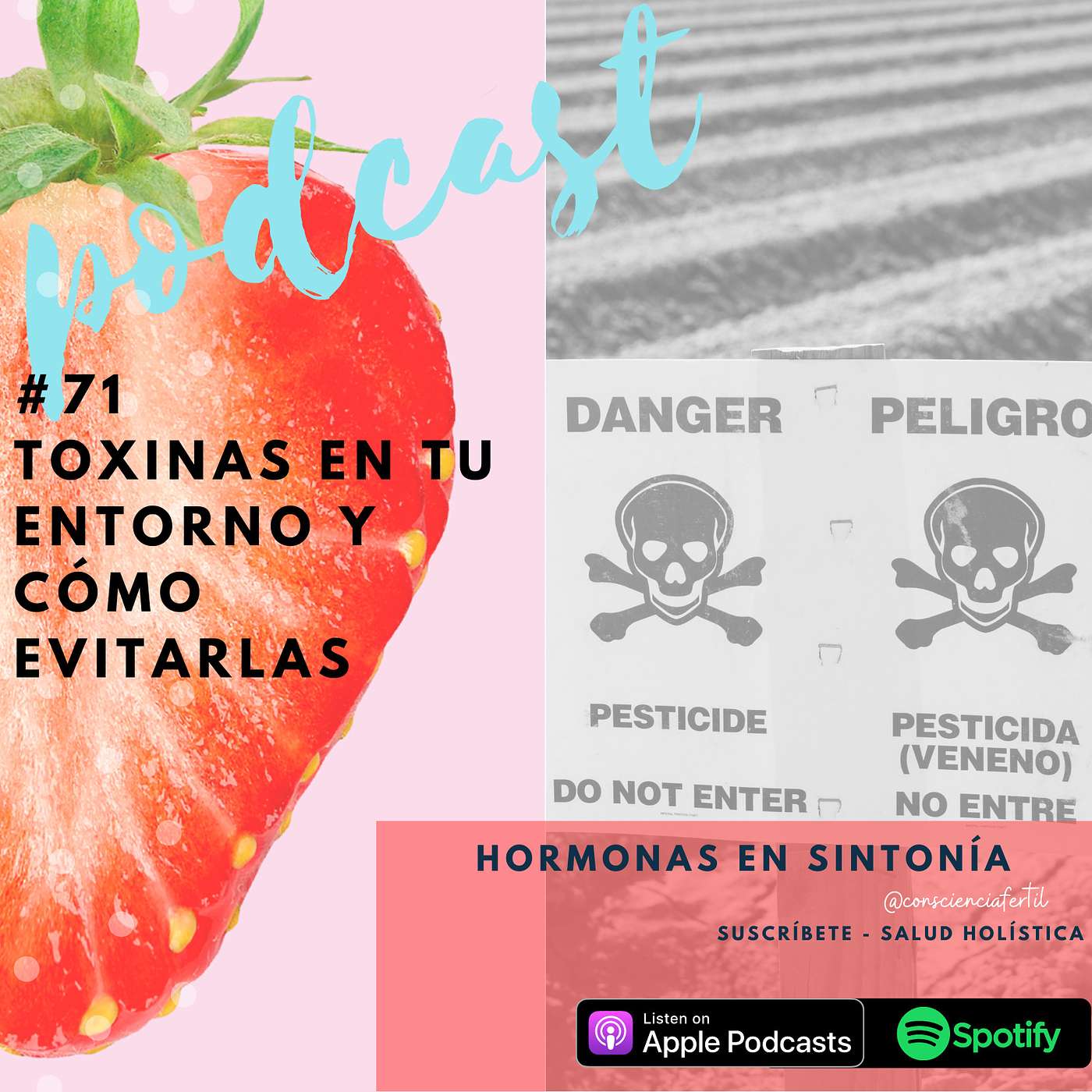 E 71: Toxinas en tu entorno y cómo evitarlas