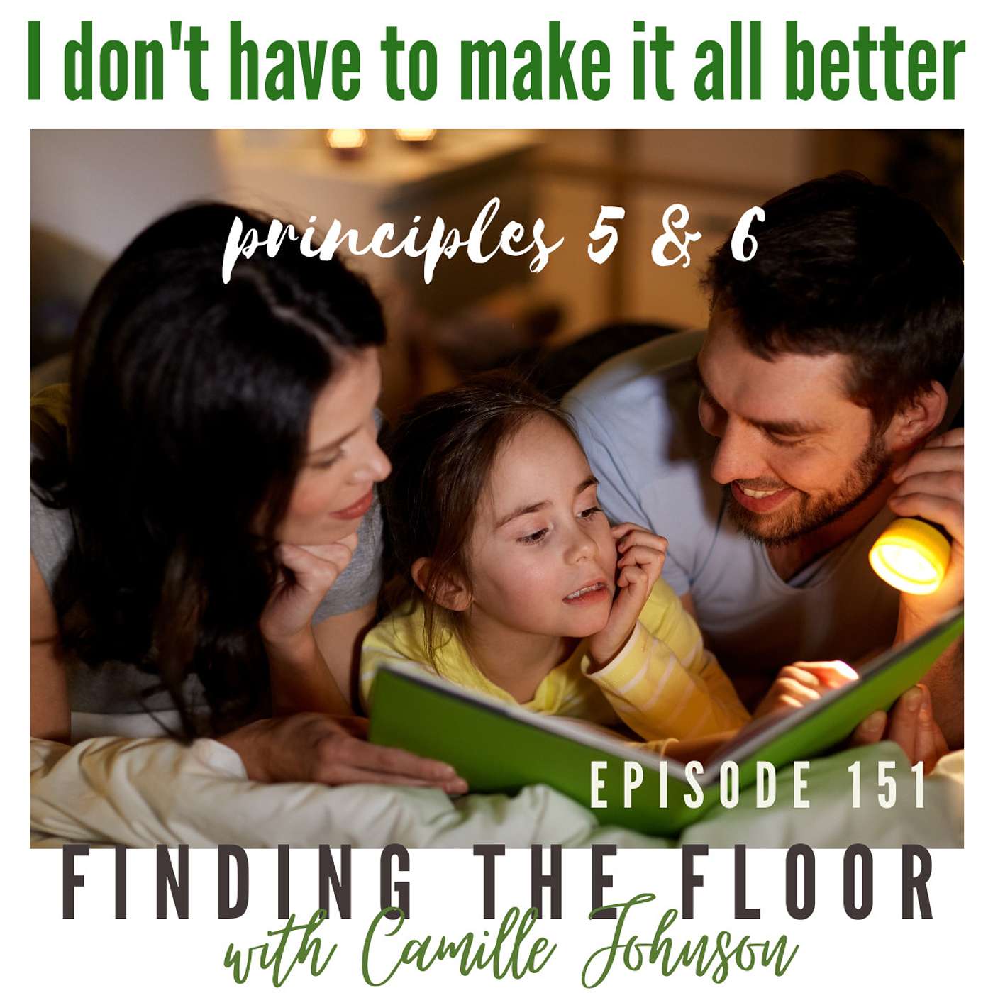 I don't have to make it all better - principles 5 & 6 episode artwork