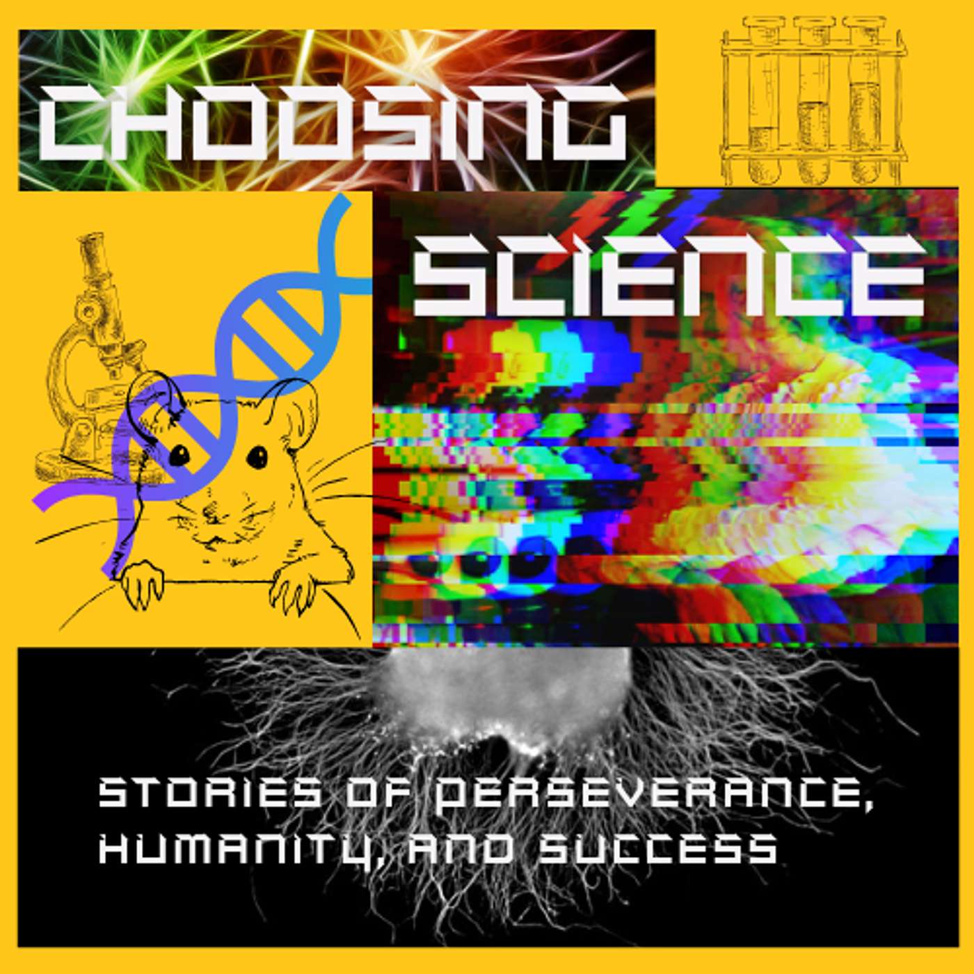 Choosing Science: Stories of Perseverance, Humanity, and Success
