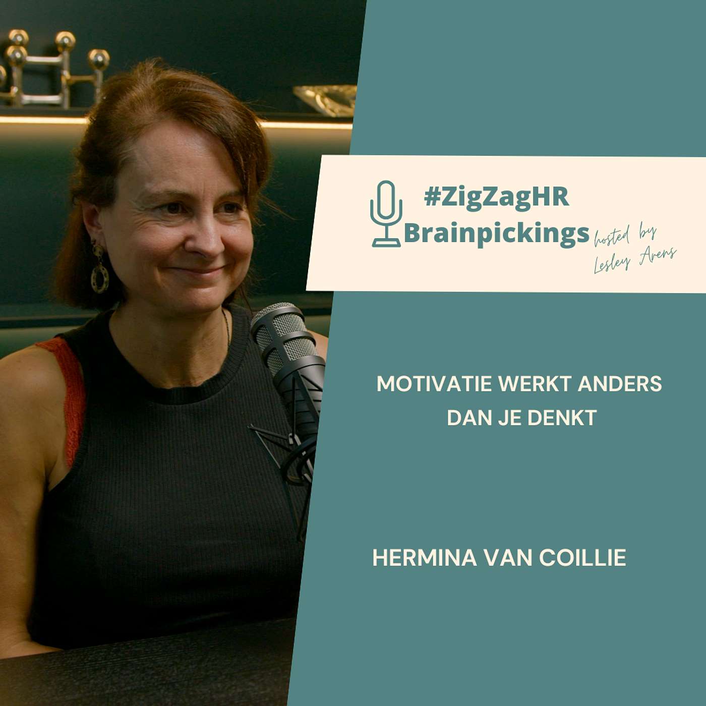 Waarom werk niet leuk maar zinvol moet zijn | Hermina Van Coillie over de 4 soorten motivatie Waarom werk niet leuk maar zinvol moet zijn | Hermina Van Coillie over de 4 soorten motivatie