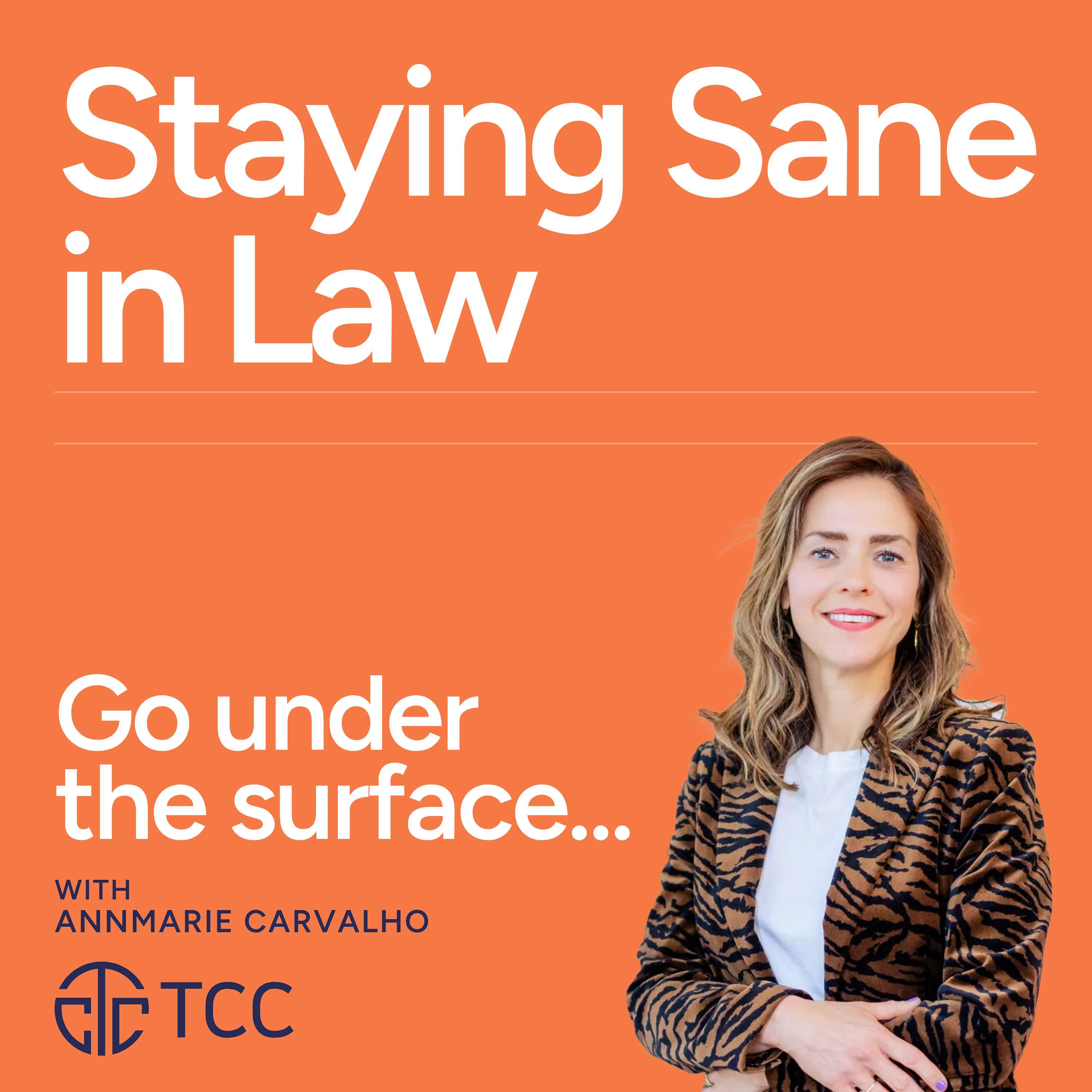 Staying Sane in Law