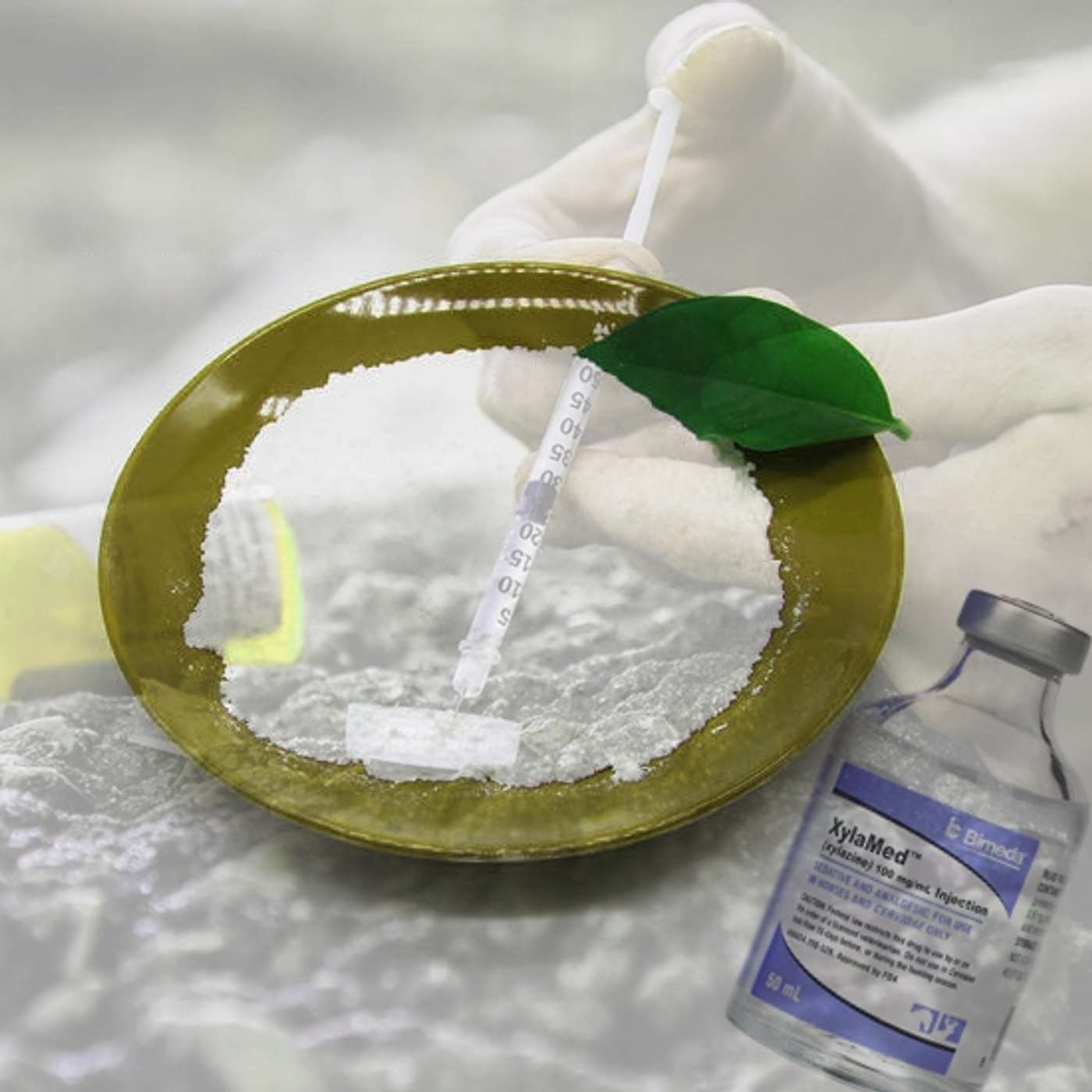 96: Who put Xylazine (Tranq) in my Drugs & Why is that a Problem? episode artwork