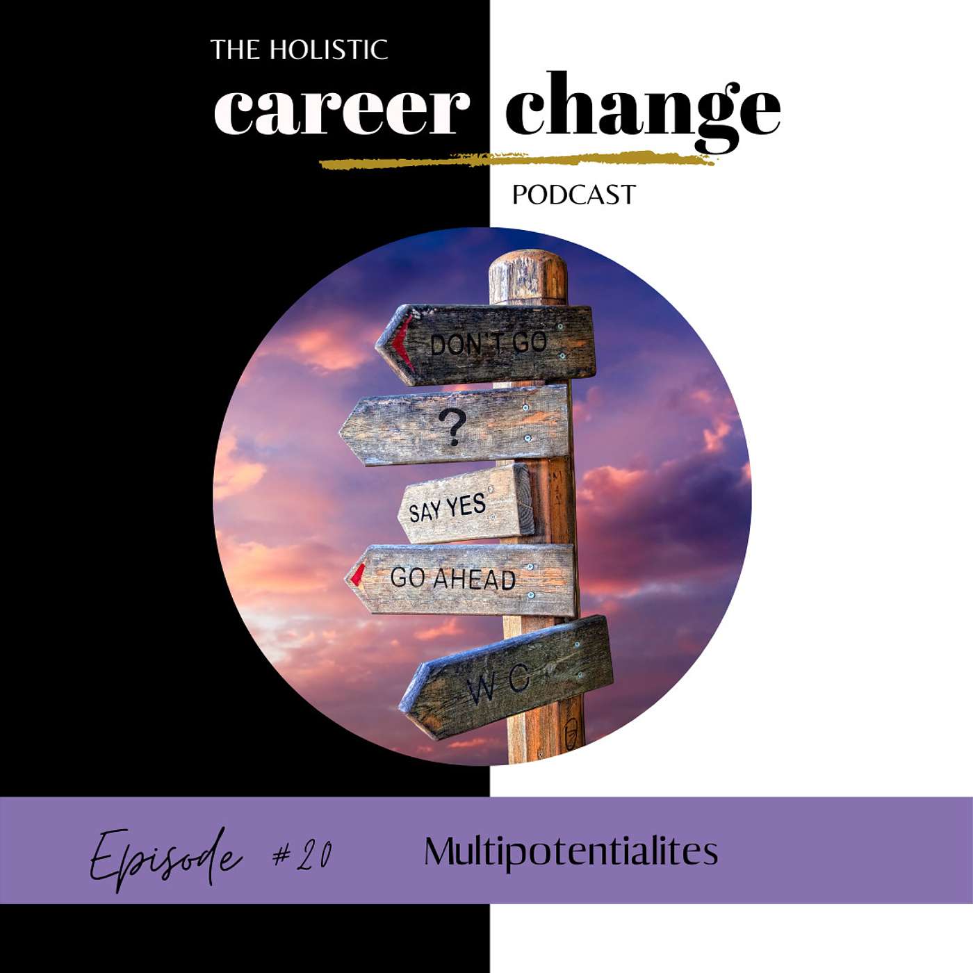 Holistic Career Change