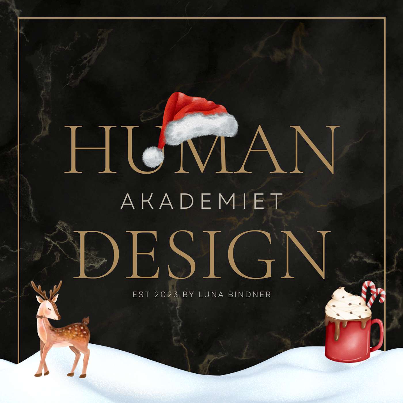 Human Design Akademiet