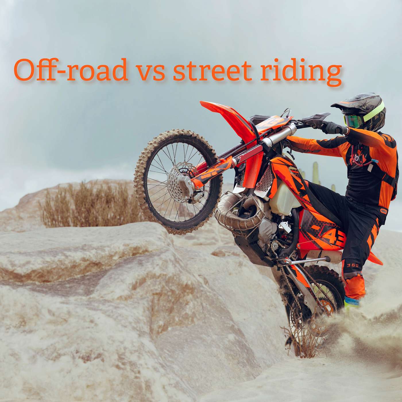 Exploring Off-Road vs Street Riding