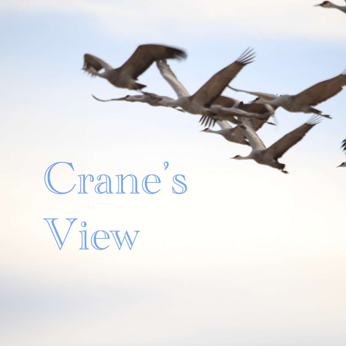 Crane's View
