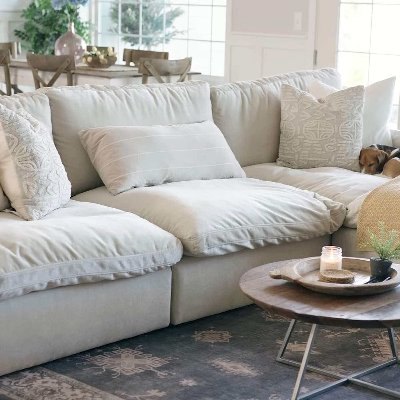 Should Dogs Be Allowed on Your New Sectional Sofa? episode artwork