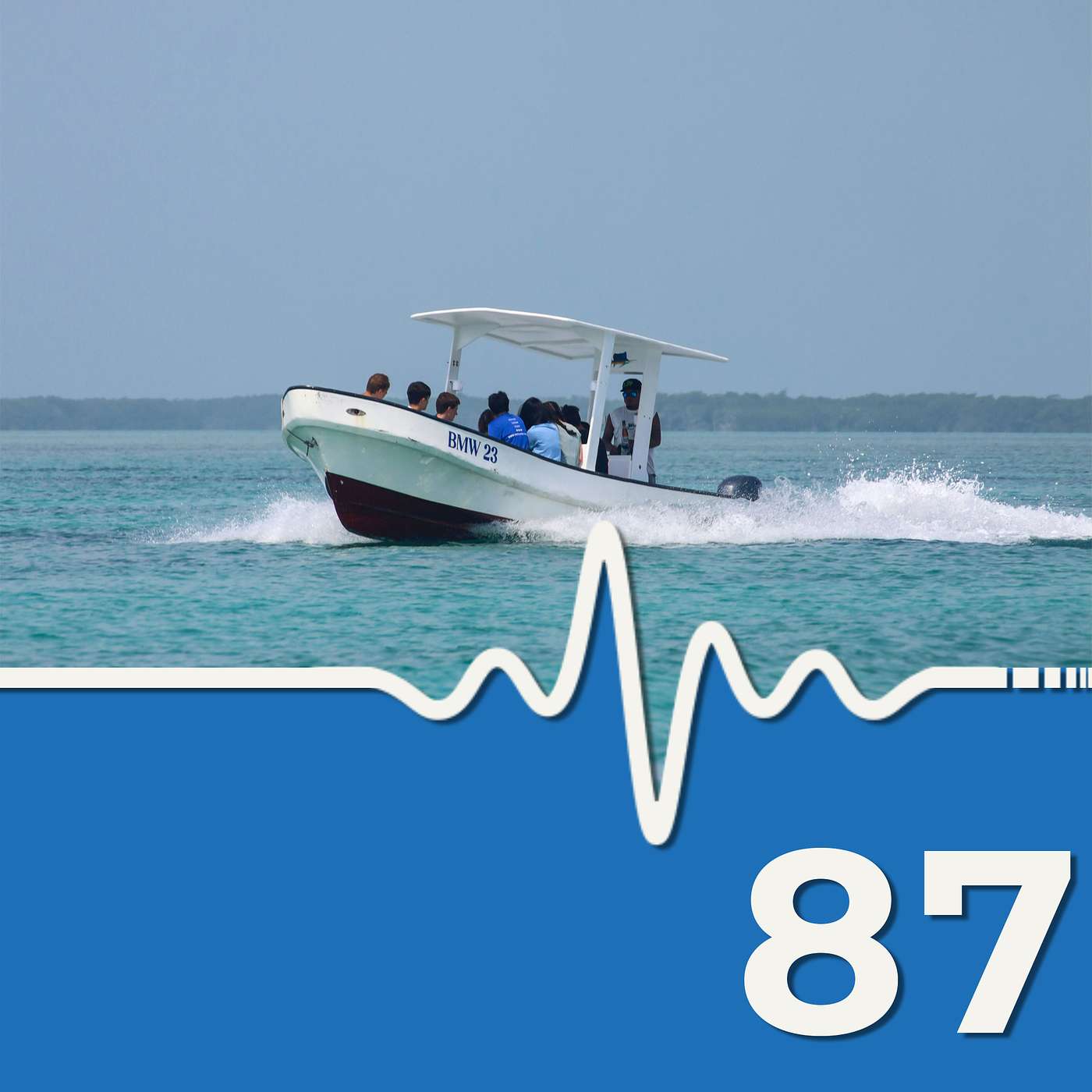 Teen Loses Leg After Shark Bite #scuba #news #podcast