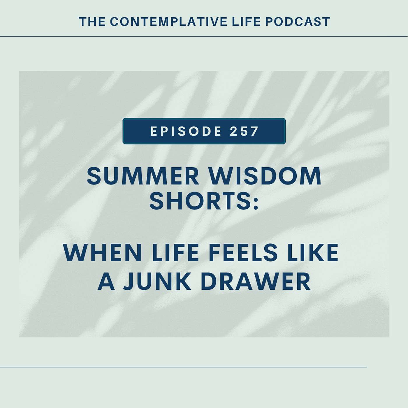 Ep 257 Summer Wisdom Shorts: When Life Feels Like a Junk Drawer