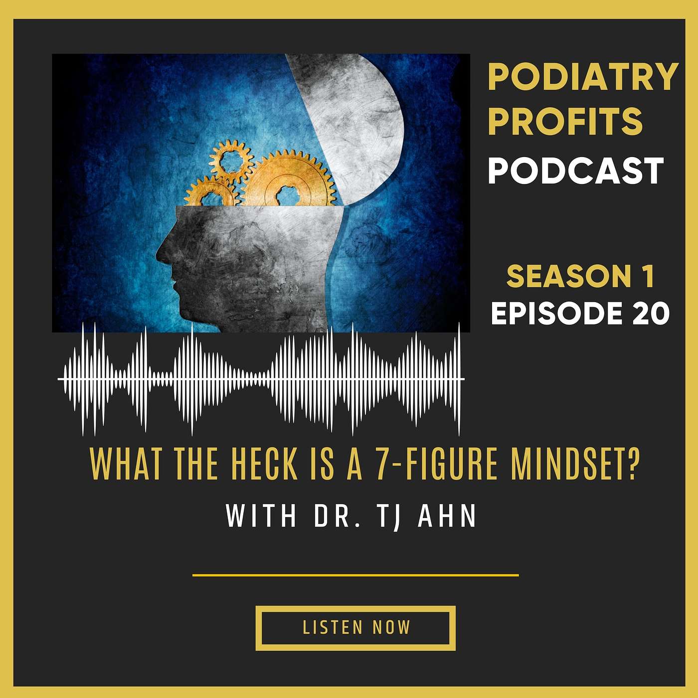 Private Practice OS with Dr. TJ Ahn