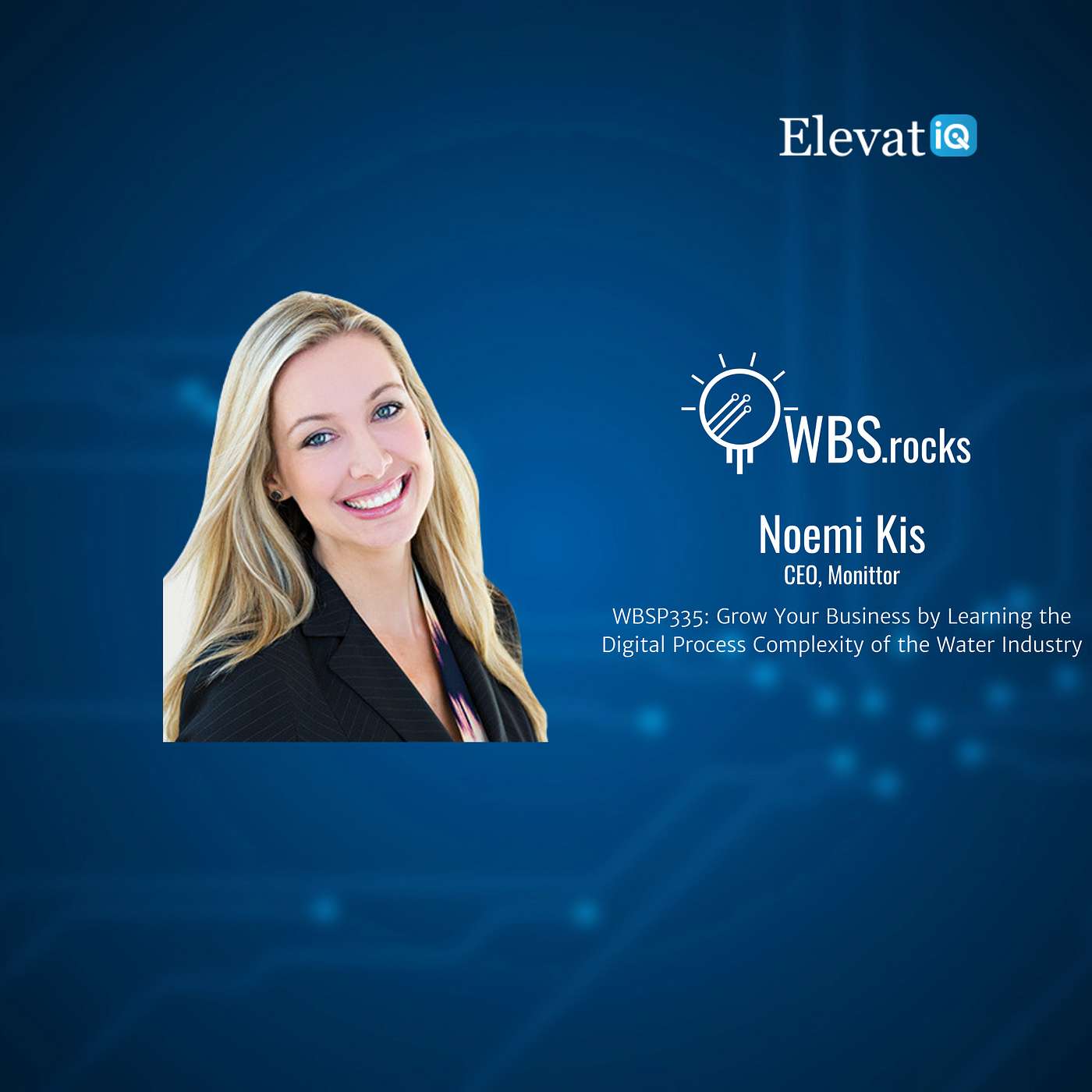 WBSP335: Grow Your Business by Learning the Digital Process Complexity of the Water Industry w/ Noemi Kis