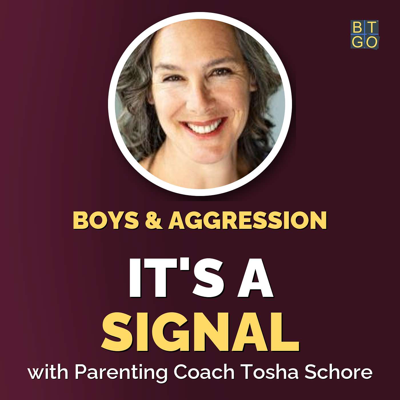 Transforming Aggression Into Healthy Expression for Boys episode artwork
