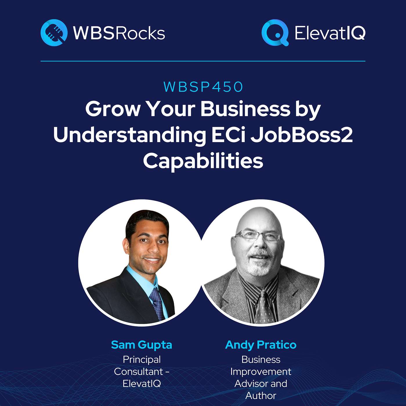WBSRocks: Business Growth with Enterprise Software and Digital Transformation