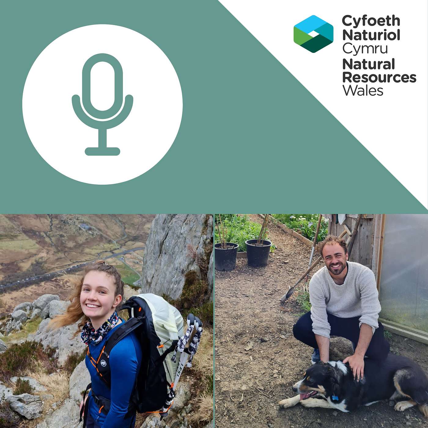 Climate Miniseries: Adapting to the Climate Crisis to help make Wales resilient